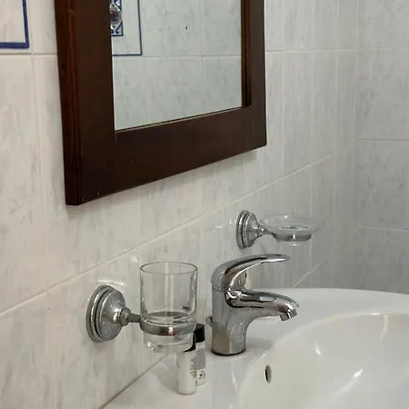 Marina View فلورا