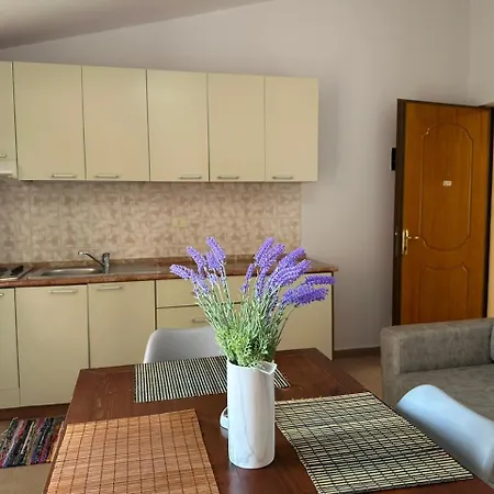 Marina View فلورا