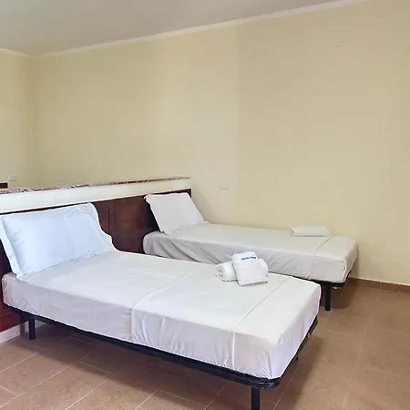 Marina View فلورا